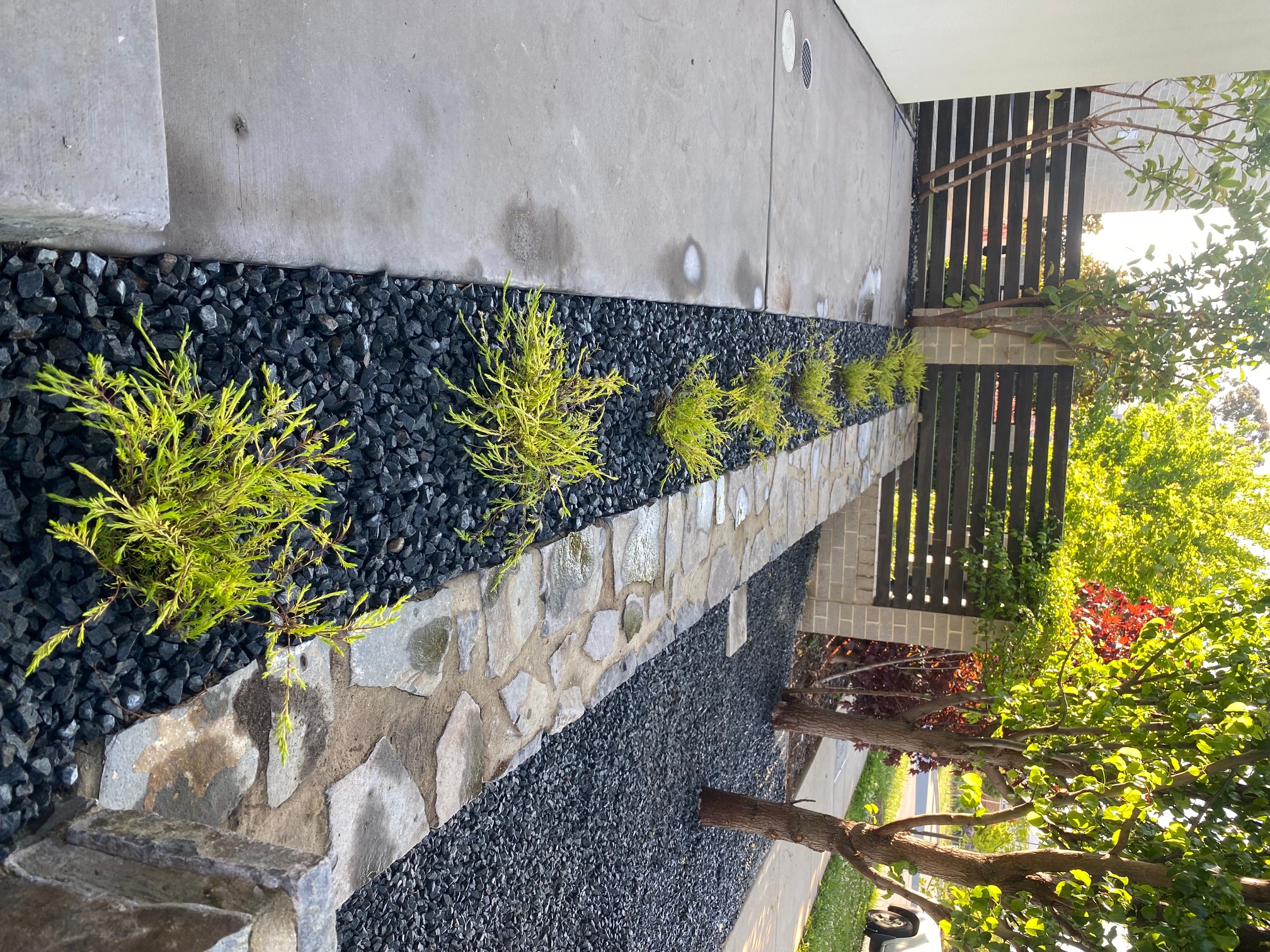 Outdoor space project 8
